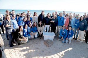 Suelta de tortugas en la playa del Saler con seguimiento satelital para conocer sus movimientos