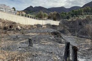 Compromís exigeix a la Generalitat que regenere les zones afectades per l'incendi de Montixelvo