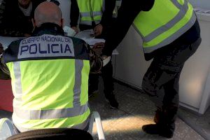 A plena luz del día y armados: cae una peligrosa banda en Gandia dedicada a robar en viviendas de toda la provincia de Valencia