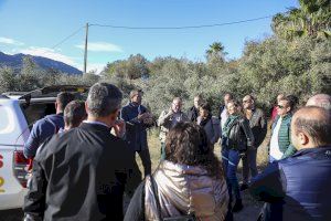 La Diputació de València ayudará a valorar y reparar los daños en cultivos y regadío del incendio de Montitxelvo