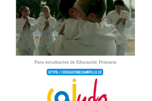 Sesiones de judo contra el acoso escolar avaladas por la Universidad Miguel Hernández