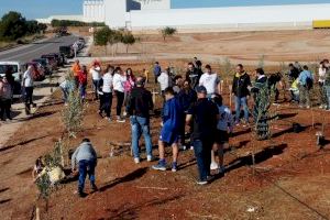 Los vecinos de Onda se suman a la plantación de árboles para hacer posible el Bosque Olímpico