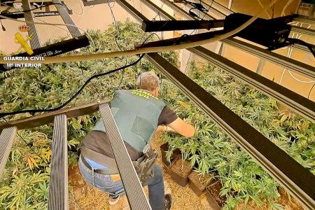 Operació antidroga a Aldaia i Paiporta: un detingut per cultivar marihuana en habitatges corrents d'ambdues localitats