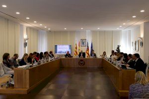 El Ple aprova per unanimitat les peticions de Vila-real a la Generalitat Valenciana per als pressupostos de 2024