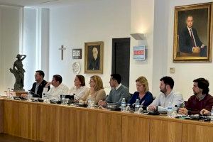El PP aconsegueix la unanimitat en el ple de Vila-real per a demanar al govern municipal millorar l'atenció ciutadana