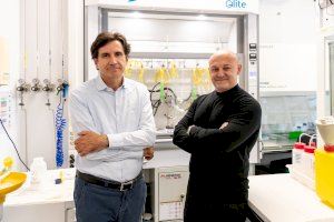 Investigadors valencians desenvolupen un nou antiinflamatori que pot substituir als corticoides