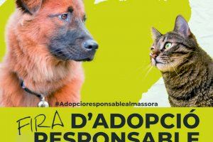 Almassora recolza l'adopció d'animals en una fira