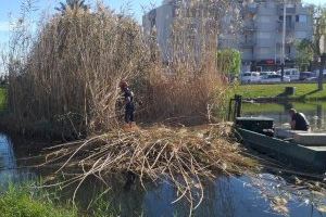 El Ayuntamiento de Peñíscola realiza tareas de limpieza y desbroce en el Ullal