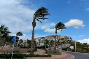 El vent continuarà bufant amb força aquest primer dissabte de desembre en la Comunitat Valenciana