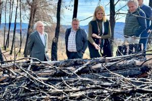 La Generalitat invertirá 1,3 millones para restaurar el terreno afectado por el incendio de Bejís