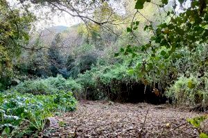 Les brigades Natura 2000 de la Comunitat Valenciana treballen en la recuperació dels ecosistemes de la Murta i la Casella