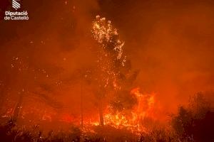 Un accidente de tráfico provoca un incendio forestal en Les Useres avivado por el fuerte viento