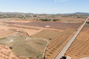 Nueva batalla por la instalación de una macroplanta solar que afecta a un pueblo de Valencia y dos de Castellón