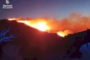 El foc arrasa una zona forestal de Culla que s'ha deslligat de matinada