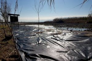 El Servicio de Mantenimiento del Consorcio río Mijares retira las lonas de geotextil de la Gola Norte