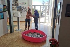 El Ayuntamiento de Almenara sortea 2.000 euros en premios por la campaña comercial de Navidad