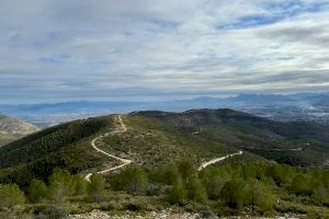 Justicia e Interior pone en servicio una nueva área de cortafuegos de 188 hectáreas entre La Costera y la Vall d’Albaida