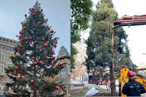 El árbol de Navidad de Valencia viaja a una nueva ubicación