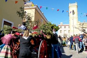 El barrio de la Ermita de Villajoyosa celebrará el popular desfile de “Rollets de Sant Antoni” el próximo 21 de enero