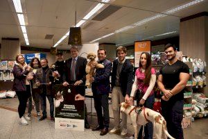 Comienza la Gran Recogida Virtual de Alimentos para Mascotas en todos los centros de El Corte Inglés en la Comunidad Valenciana