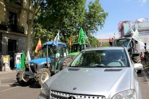 Els agricultors valencians se sumaran a la tractorada enfront del Ministeri contra "l'assetjament que viu el sector"