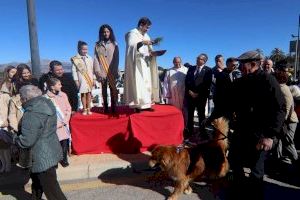 Benidorm celebra esta semana las fiestas en honor a Sant Antoni Abat en la Ermita de Sanz