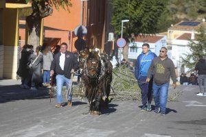 Gavarda se prepara para celebrar las fiestas de Sant Antoni