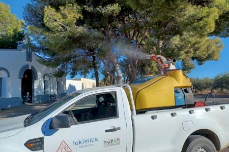 El Ayuntamiento de Torreblanca intensifica los trabajos para prevenir las plagas de la oruga procesionaria