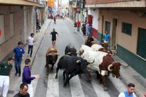 Castelló lidera els 'bous al carrer' amb 4.500 festejos l'any 2023