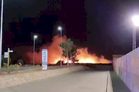 VÍDEO | Un incendi arrasa una zona pròxima al camp de futbol de Nules: els bombers actuen en sis municipis més de la província