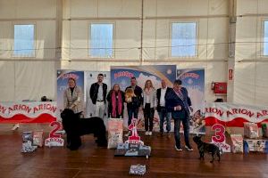 Oropesa del Mar ha celebrado su Concurso Canino hoy domingo