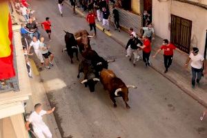 Este municipio de Castellón tendrá bous al carrer también en febrero