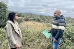 Un pueblo de Castellón pone en marcha un banco de tierras para recuperar campos abandonados