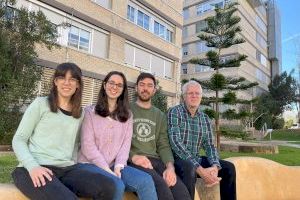 Una investigación de la Universitat de València describe un nuevo mecanismo para controlar la división celular
