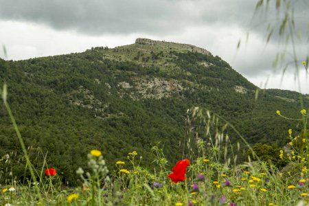 La província de Castelló explora els seus paisatges més desconeguts amb 27 rutes senderistes