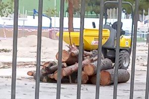 El grupo municipal de Esquerra Unida-Podem critica la tala de pinos en las obras del entorno del Pitiu Rochel