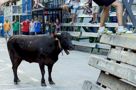 ¿Qué municipio de la Comunitat Valenciana se queda sin festejos taurinos?