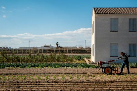 Alboraya reparte más de 37 mil euros de ayudas directas a agricultores locales
