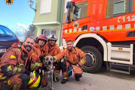 Rescat amb final feliç per a un gos atrapat en un incendi a Requena