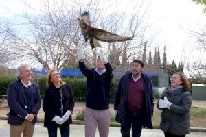Carlos Mazón anuncia la puesta en marcha de un estatuto del voluntariado en protección animal en la Comunitat Valenciana