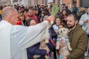 Broche final a Sant Antoni en Torrent con la bendición de los animales