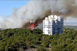 Català pide "contundencia" por el enésimo incendio en El Saler