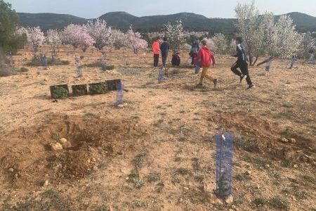 150 alumnos de Utiel y pedanías participan en la jornada de reforestación con motivo del Día del Árbol