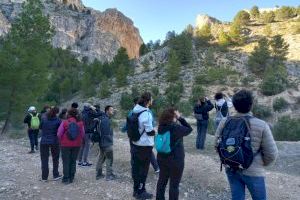 Emerge el turismo ornitológico, una nueva oportunidad sostenible para visitar la Comunitat Valenciana