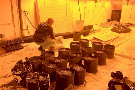 La Guardia Civil desmantela un centro de procesamiento de marihuana en Massamagrell