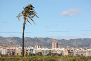 Poniente y subidón de las temperaturas este jueves en la Comunitat Valenciana antes del desplome térmico
