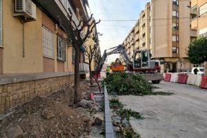 Trasladados cinco árboles de las avenidas Filipinas y Olimpiadas para replantarlos en las inmediaciones de la avenida de Ronda de Elda