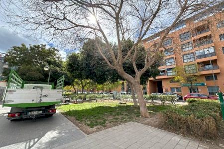 San Vicente del Raspeig inicia esta semana la renovación de 2.500 metros cuadrados de zonas verdes situadas en la avenida Sevilla