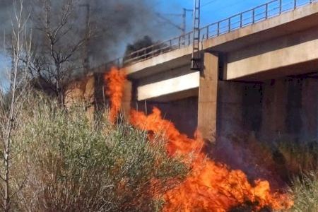 VIDEO | Arde el paraje del río Mijares entre Almassora y Vila-real