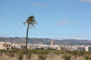 Avís groc per fort vent este diumenge en la Comunitat valenciana